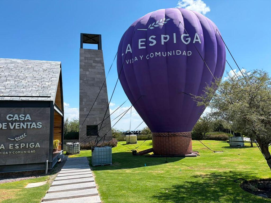 Foto de la galeria de imagenes