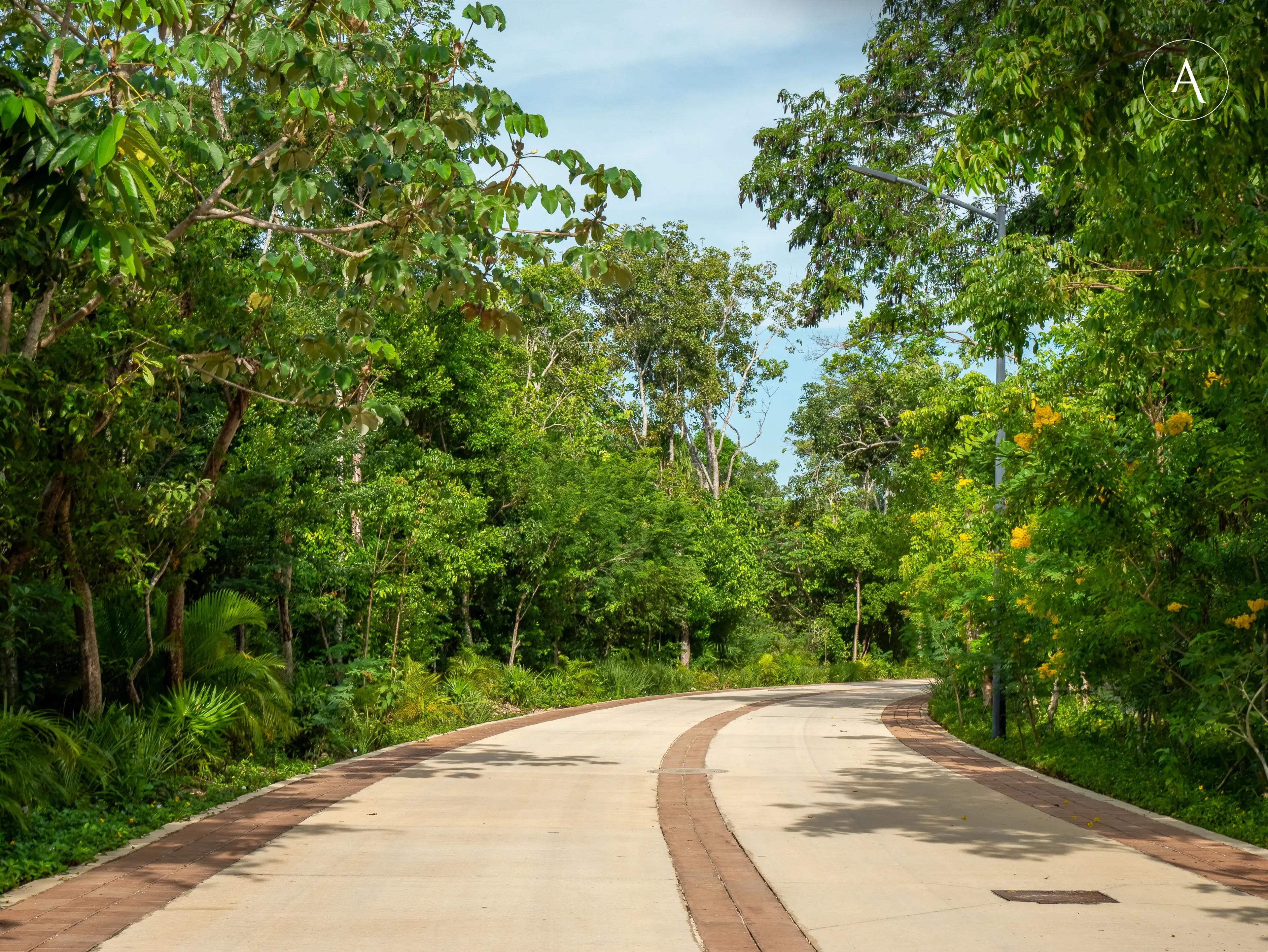 Mayakoba Country Club en Playa del Carmen, Riviera Maya