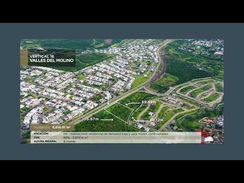 Previsualización del video