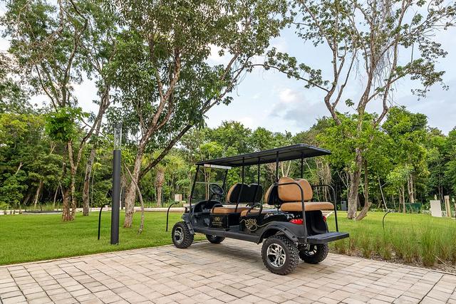 Foto de la galeria de imagenes