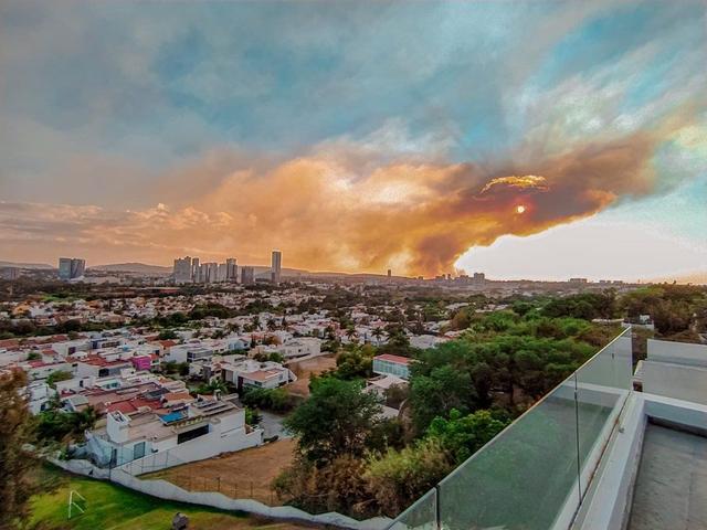 Foto de la galeria de imagenes