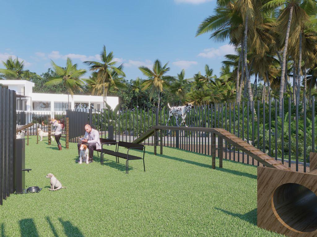 Foto de la galeria de imagenes